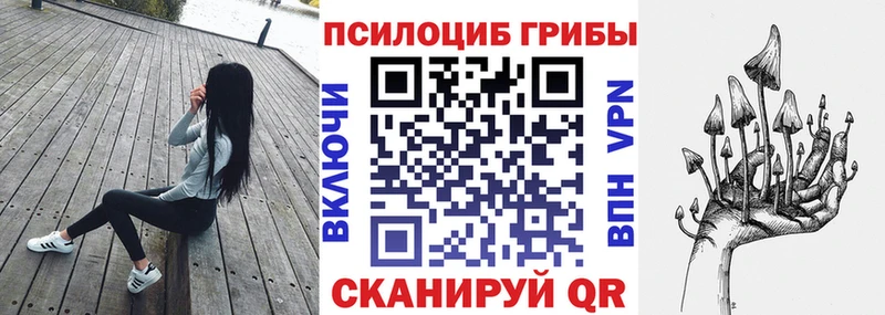 цены наркотик  Заозёрск  Псилоцибиновые грибы мицелий 